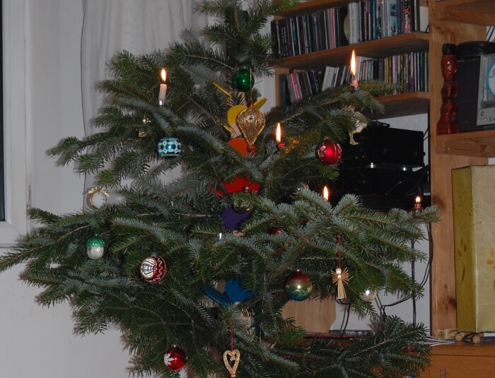 weihnachtsbaum2013